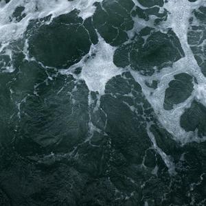 黄视频在线观看免费
