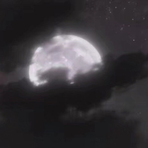 黄视频在线观看免费
