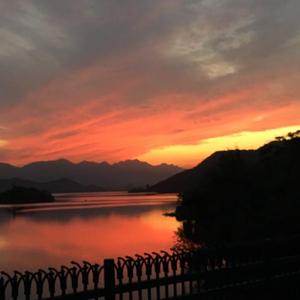 黄视频在线观看免费
