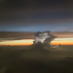 黄视频在线观看免费
